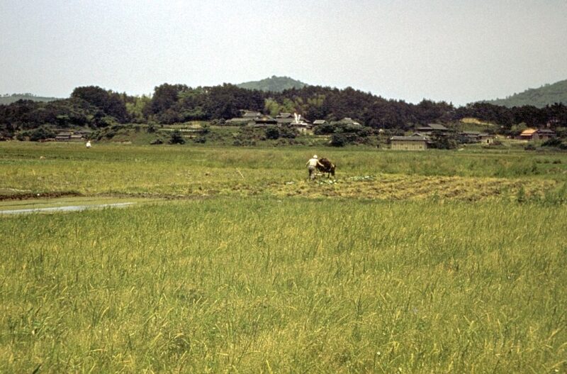 rural-scenery-in-Japan